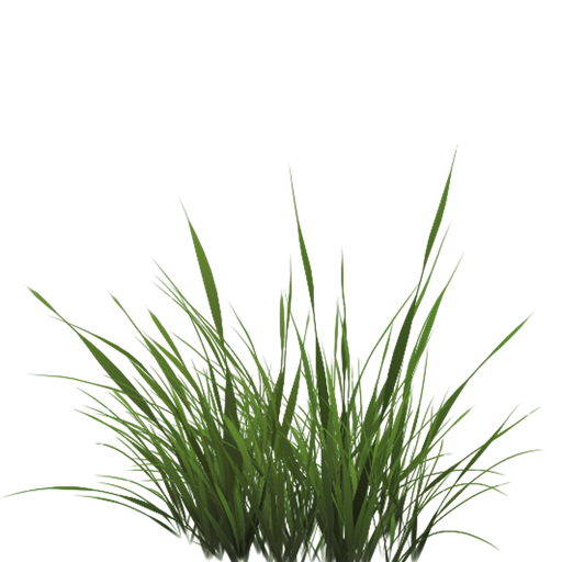 Grass Texture Png Download - Jonie Wida